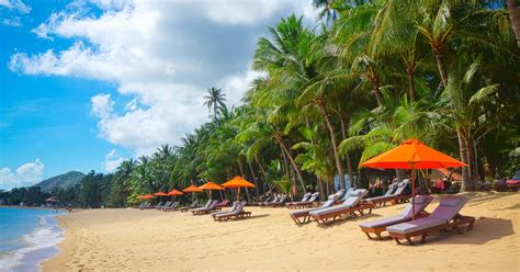 cheap flights from singapore to koh samui|Find Cheap Flights from Singapore to Ko Samui .